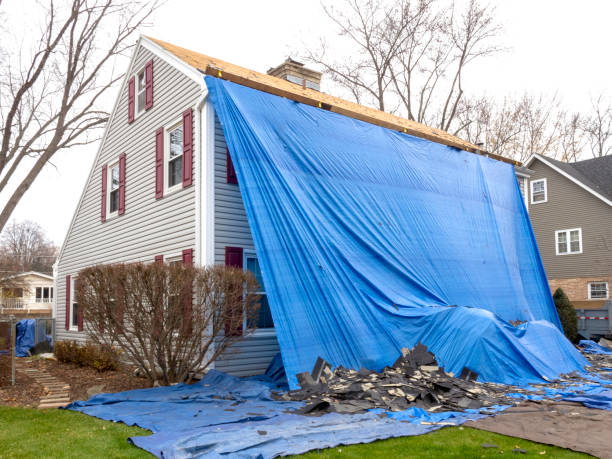 Best Siding Painting and Refinishing  in Whitesboro, NJ